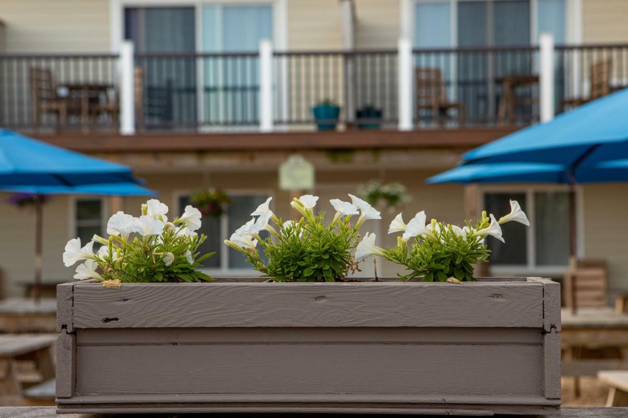 Aqualina Inn Montauk (Adults Only) Экстерьер фото